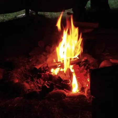 Wapiti Lüks kamp alanı *